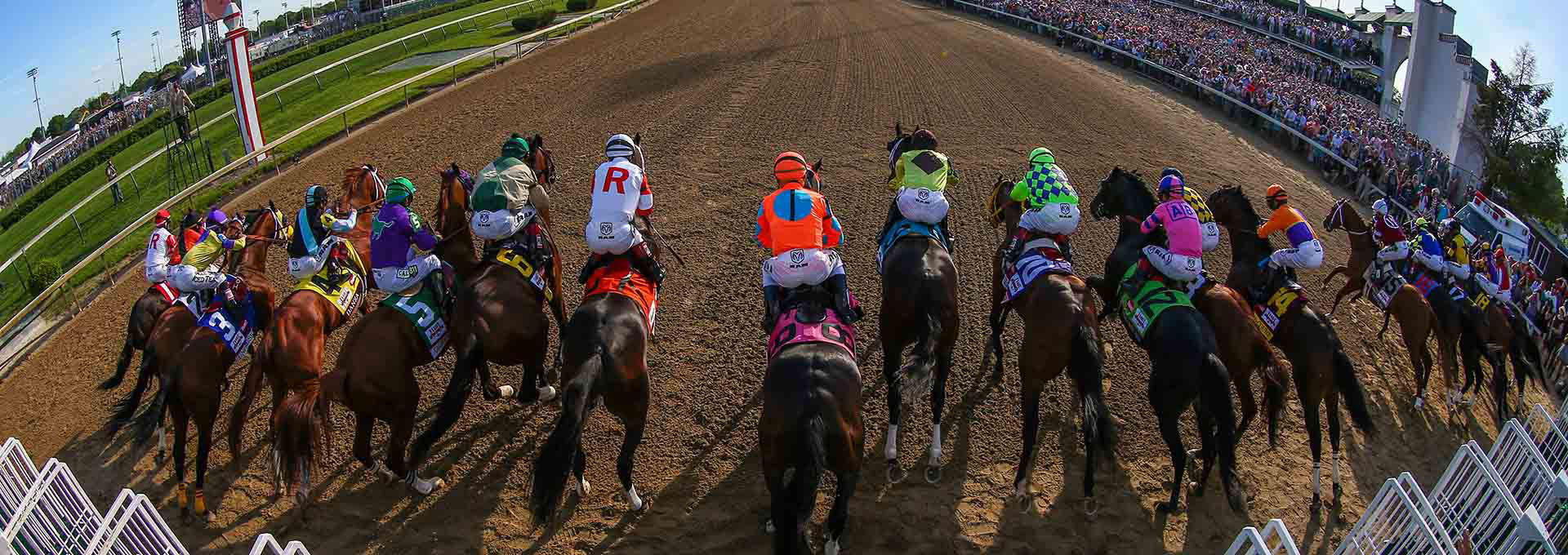 Kentucky Derby Contenders - BUSR