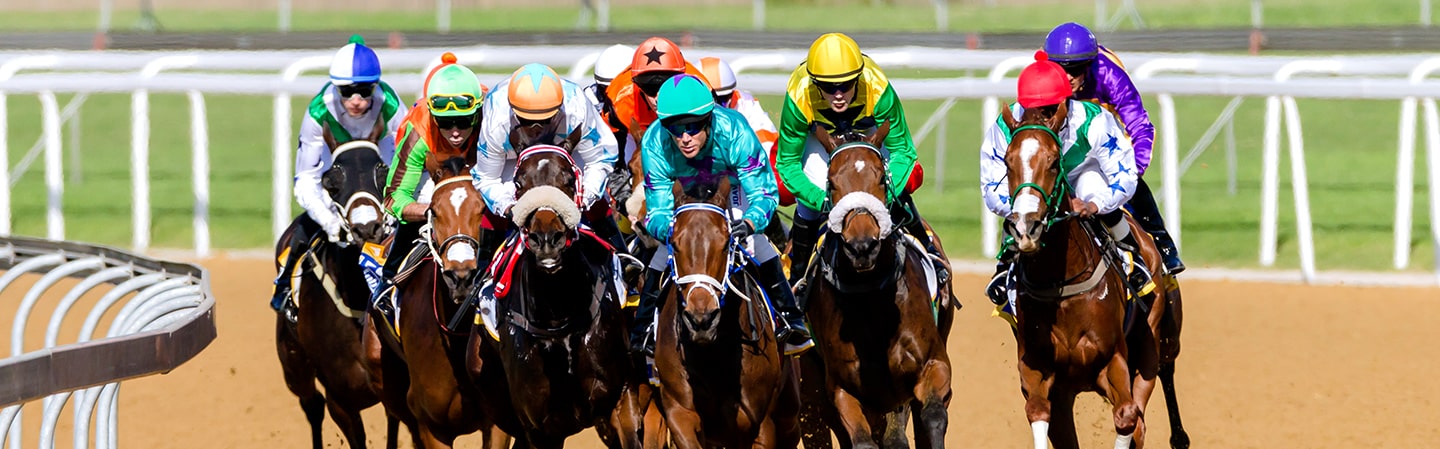 Belmont Stakes Betting - BUSR