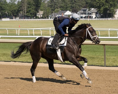 Belmont Stakes Contender Protective
