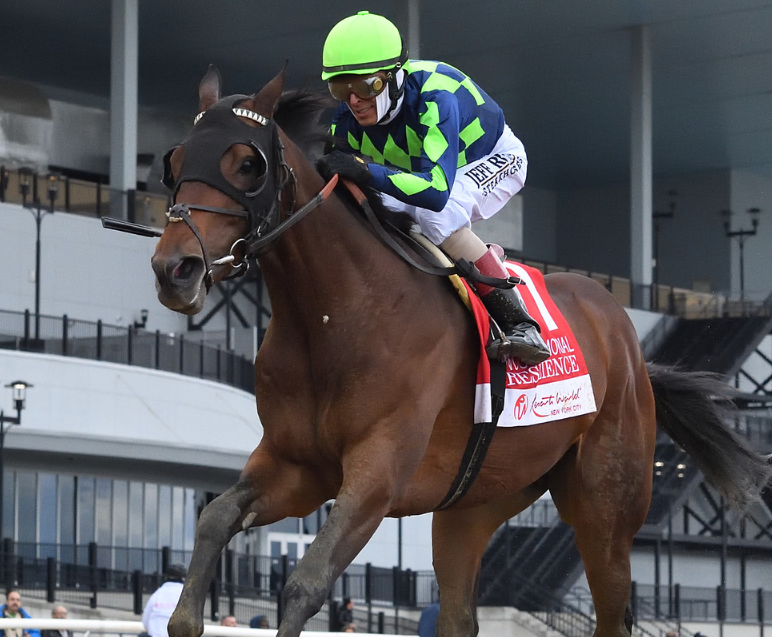 Belmont Stakes Contender: Resilience