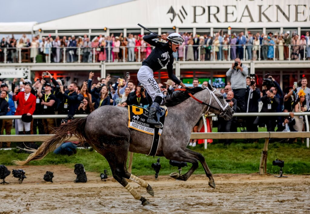 Belmont Stakes Contenders: Seize the Grey