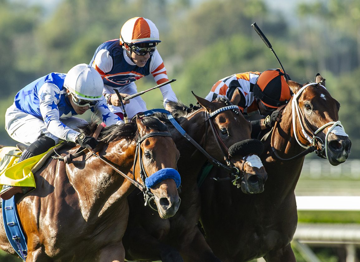 Bet on HORSES with the latest news, best Horse Racing Odds and expert picks. 🏇 JOIN NOW and win up to $3,000 BONUS 🏇