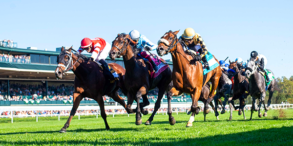 Bet on HORSES with the latest news, best Horse Racing Odds and expert picks. 🏇 JOIN NOW and win up to $3,000 BONUS 🏇