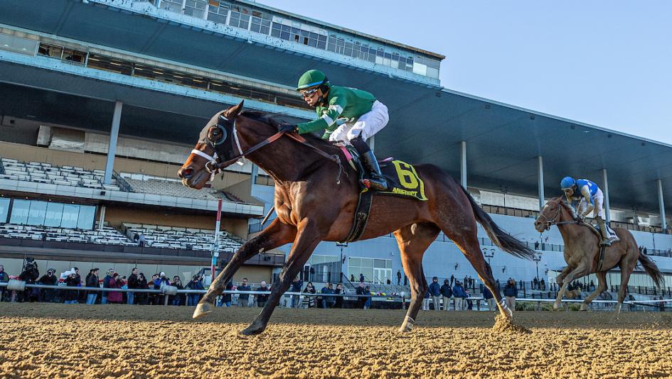 Bet on HORSES with the latest news, best Kentucky Derby Prep Races Odds and picks. 🏇 JOIN NOW and win up to $2,500 BONUS 🏇