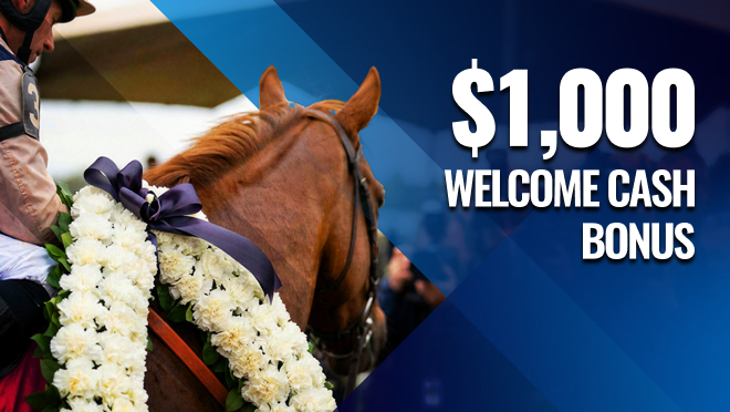 horse betting bonus for busr horse betting bonus