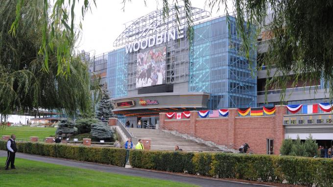 Woodbine Mile Early Odds: Horse By Horse Analysis