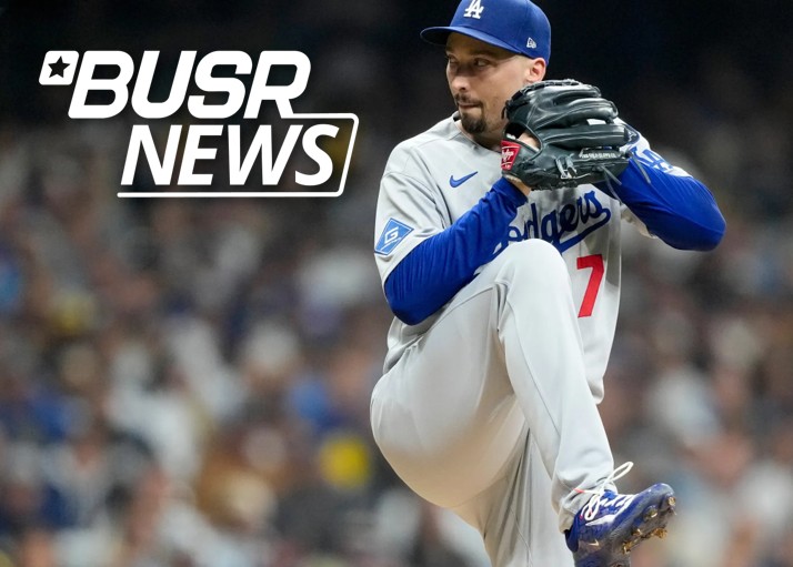MLB World Series Odds: Why Blake Snell's Makes the Dodgers a Sure Bet. Bet on Baseball with BUSR and get a 100% Welcome Bonus up to $1,500