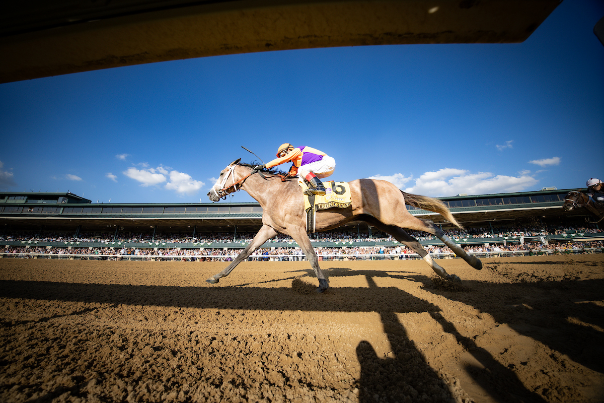 Ted Noffey win the Breeders' Cup Juvenile