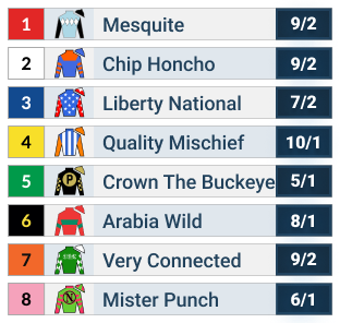 Gun Runner Stakes Official Odds