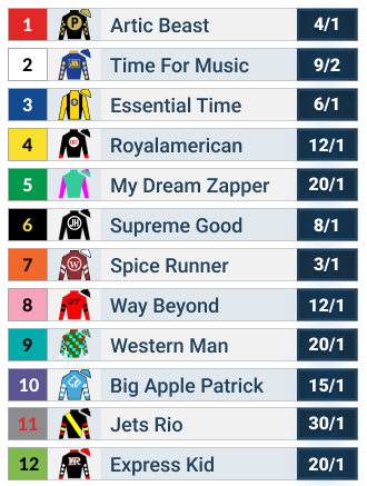 Remington Springboard Mile Official Odds
