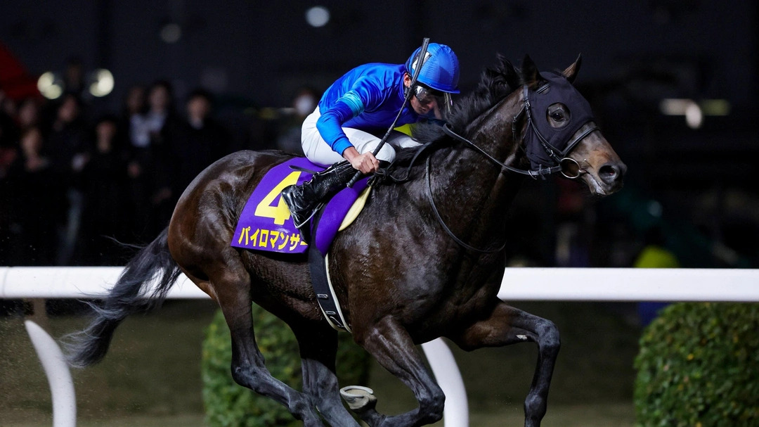 The Dubai Factor on Kentucky Derby Betting