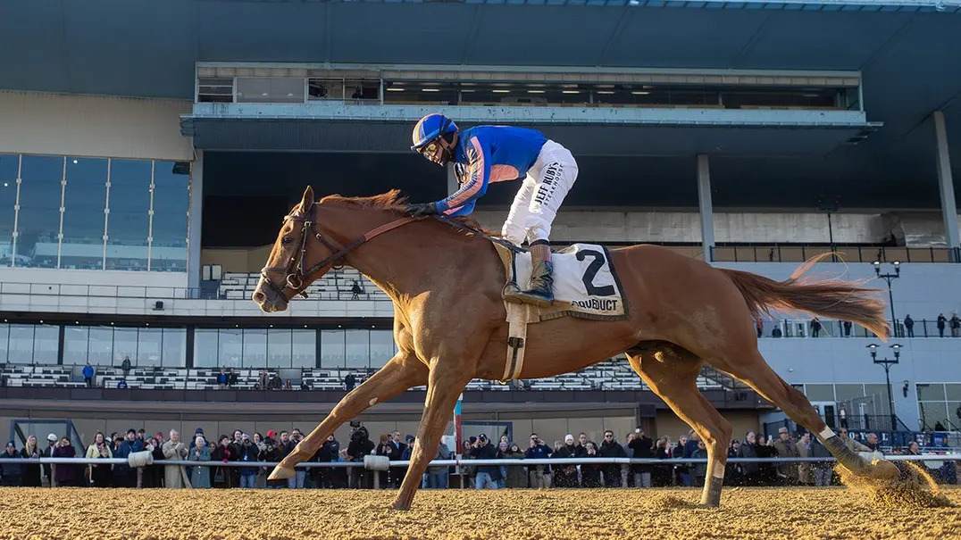 Kentucky Derby Betting: Why the “Value Gap” Makes Paladin a Dangerous Favorite