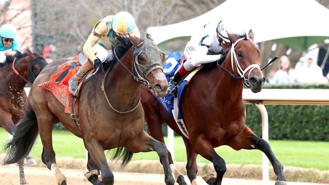 Class President to replace Paladin in the Kentucky Derby Betting Pools