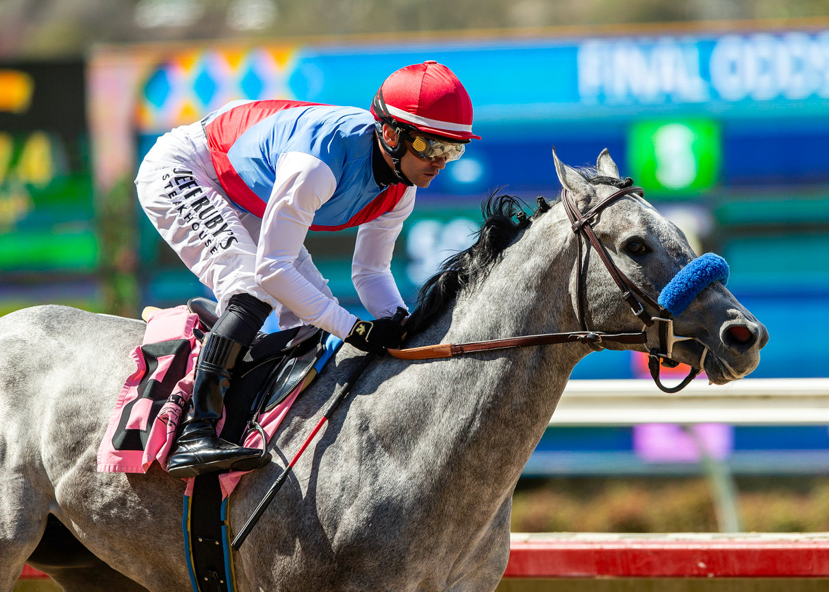 San Felipe Stakes Betting Guide: Odds, Field Analysis, and Strategy