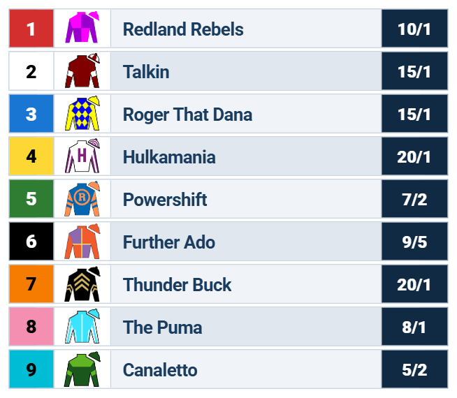 tampa bay derby odds