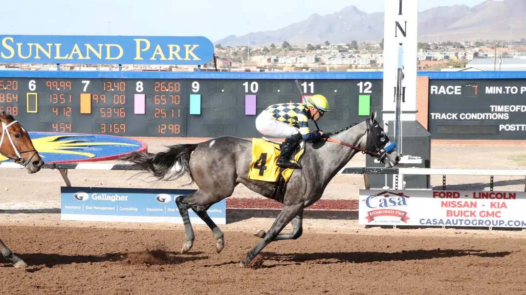 Virginia Oaks Betting Analysis and Guide