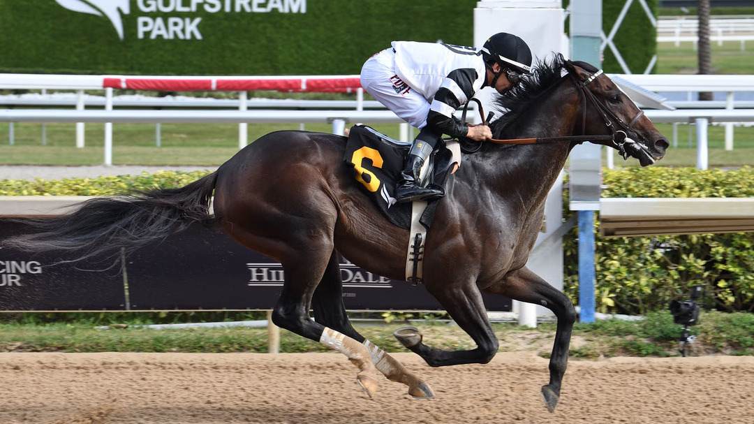 Kentucky Derby Betting: Chief Wallabee's 100 Beyer - Is It Enough?