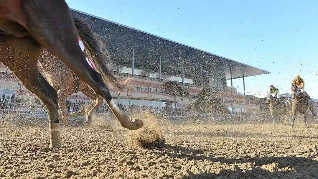 The Churchill Downs Surface Factor in the Kentucky Derby Betting Strategy