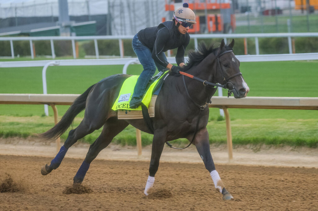 Kentucky Derby Betting News: New Field, Fulleffort Out, Ocelli In