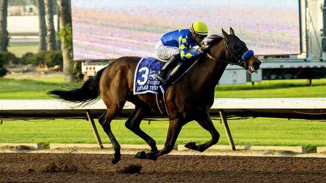 2026 Kentucky Derby Contenders Tier 1: Analyzing the High-Value Longshots