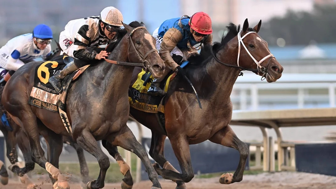 Kentucky Derby Entries Analysis Before Draw Day
