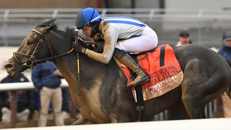 Last Chance: Lock In Fixed Odds at BUSR Before Gates Open