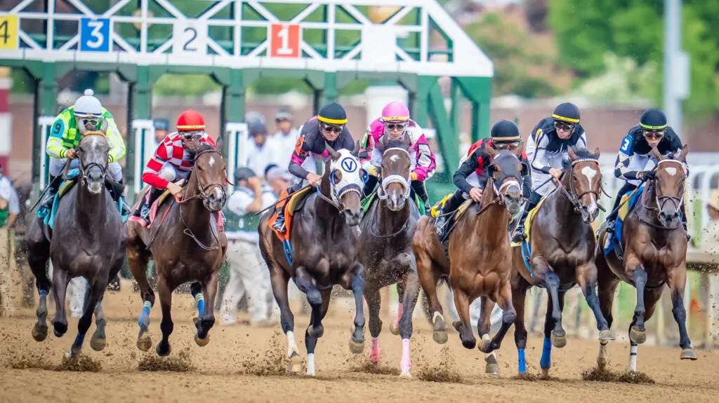 BUSR Kentucky Derby Top 5 Contenders Before Gate Draw