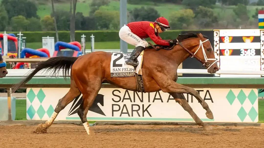 Sovereignty vs. Journalism: Oaklawn Handicap Picks, Odds & Betting Analysis