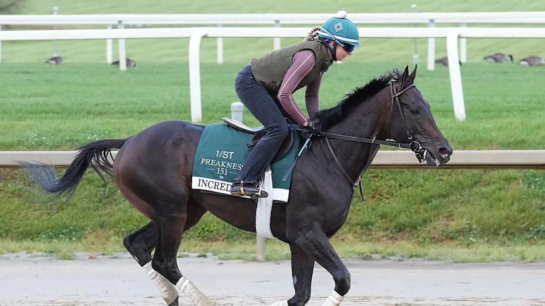 How to Bet $500 on the 2026 Preakness Stakes: Odds, and a Full Ticket Breakdown