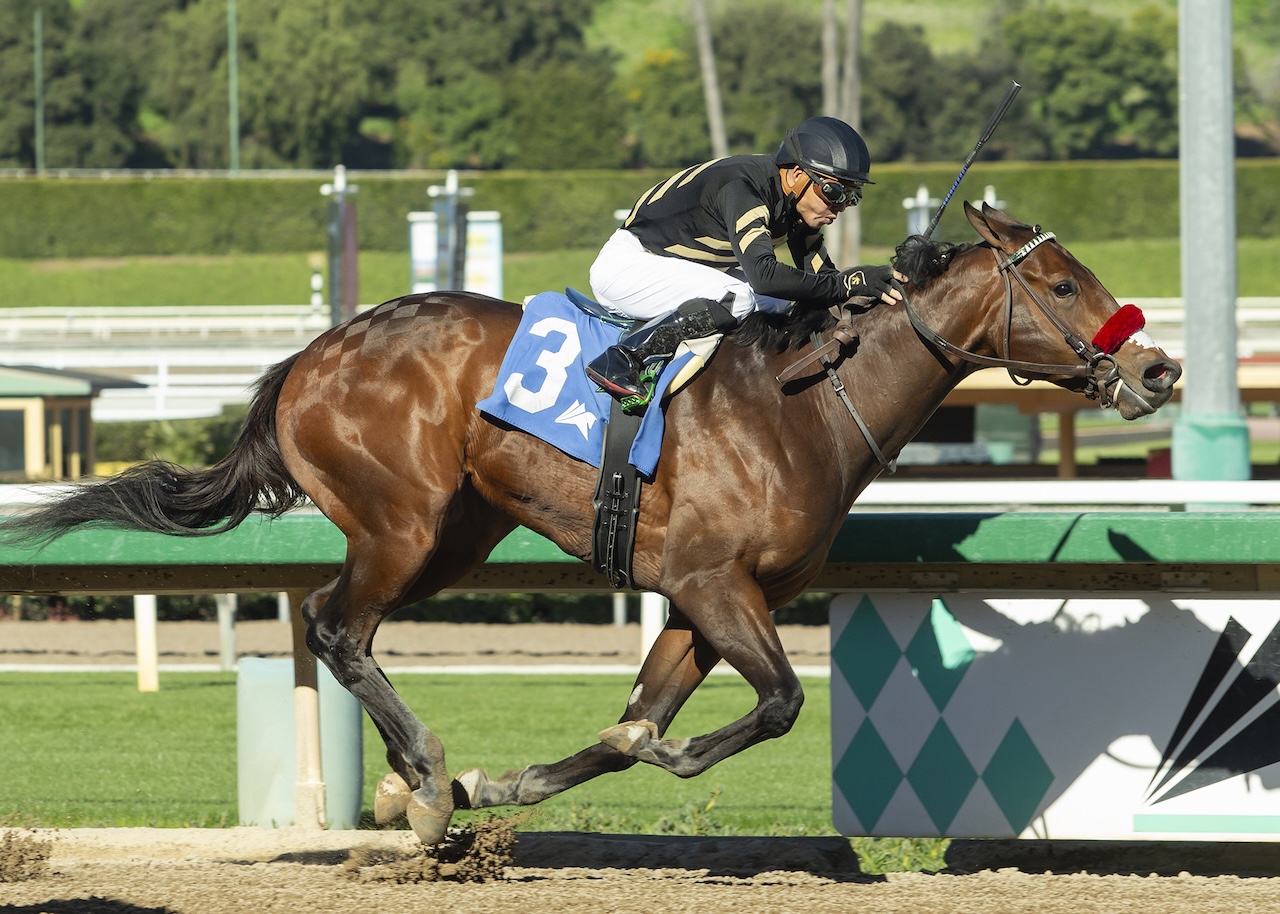 2026 Kentucky Derby Third Scratch: Odds and Field Implications