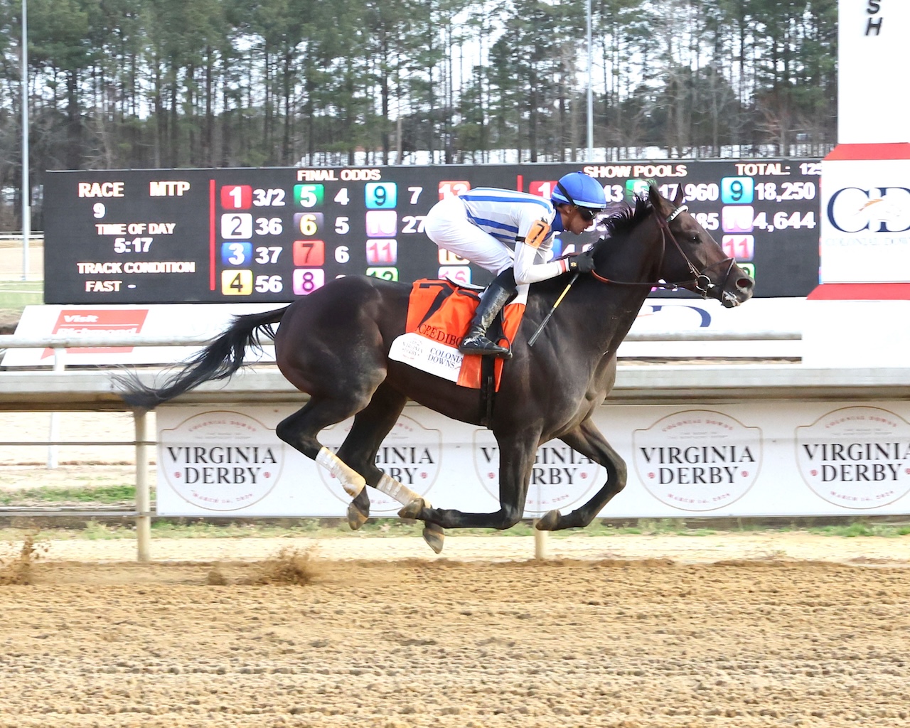 2026 Preakness Stakes: Horse-by-Horse Analysis, Odds, Picks