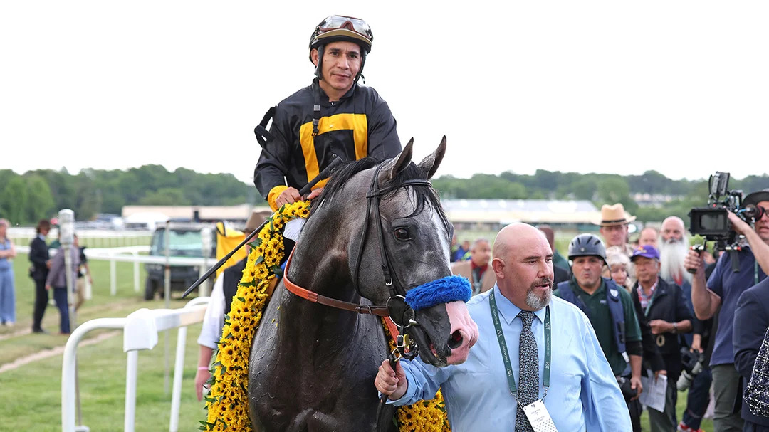 Belmont Stakes Odds Shockwave: Napoleon Solo Aims the Haskell