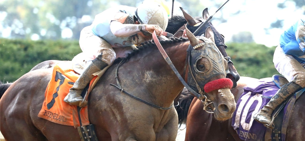 Belmont Stakes Odds and Betting Analysis: How to Claim BUSR Welcome Bonus