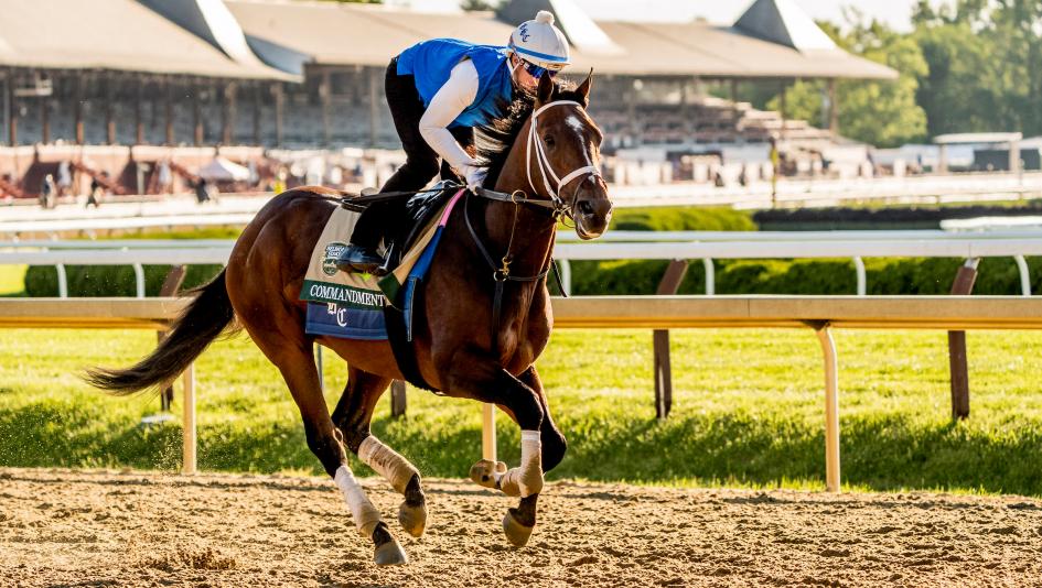 Belmont Stakes Odds 2026: Race-Day Lines, Favorites & Best Bets