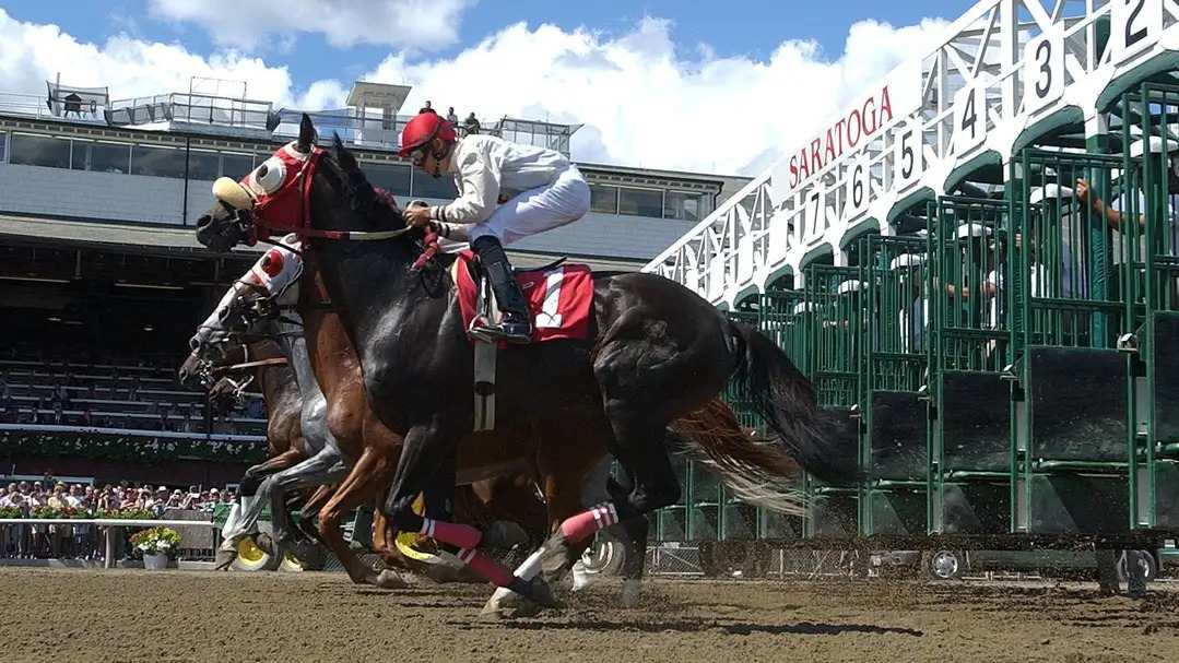 How to Bet on the 2026 Belmont Stakes Online: Step-by-Step Guide