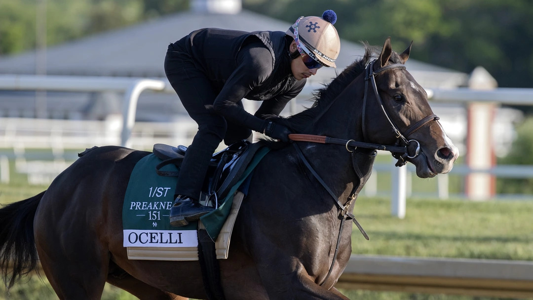Belmont Stakes Odds Shakeup Before the Draw: Ocelli Bypasses Final Jewel