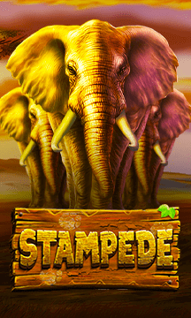 Stampede
